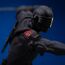 Figurka G.I. Joe Art Scale 1/10 - Snake Eyes- Zdjęcie 28