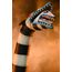 Zestaw 2 figurek Beetlejuice Beetlejuice - Ultimate "Matador" Beetlejuice and Sandworm- Zdjęcie 39