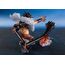 Figurka One Piece FiguartsZERO (Extra Battle) - Monkey D. Luffy Gear 4 (Snakeman King Cobra)- Zdjęcie 6