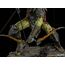 Figurka Lord Of The Rings BDS Art Scale 1/10 Archer Orc- Zdjęcie 6