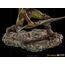 Figurka Lord Of The Rings BDS Art Scale 1/10 Swordsman Orc- Zdjęcie 3