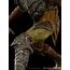 Figurka Lord Of The Rings BDS Art Scale 1/10 Swordsman Orc- Zdjęcie 8
