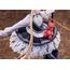 Figurka Fate/Grand Order - Foreigner/Abigail Williams (Festival Portrait ver.)- Zdjęcie 9