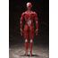 Figurka Original Character Figma - Human Anatomical Model- Zdjęcie 4