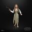 Figurka Star Wars Epizod VI Black Series (2022) -  Princess Leia (Ewok Village)- Zdjęcie 9