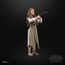 Figurka Star Wars Epizod VI Black Series (2022) -  Princess Leia (Ewok Village)- Zdjęcie 11