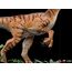 Figurka Jurassic Park: The Lost World Deluxe Art Scale 1/10 Velociraptor- Zdjęcie 9