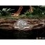 Figurka Jurassic Park: The Lost World Deluxe Art Scale 1/10 Velociraptor- Zdjęcie 10