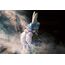 Figurka Made in Abyss: The Golden City of the Scorching Sun 1/7 - Nanachi- Zdjęcie 9
