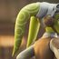 Zestaw 2 popiersi Star Wars: Rebels 1/6 - Hera i Chopper- Zdjęcie 10