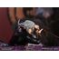 Figurka Cowboy Bebop - Last Stand Vicious- Zdjęcie 33