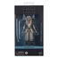 Figurka Star Wars: Ahsoka Black Series - Ahsoka Tano (Peridea)- Zdjęcie 13