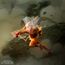 Figurka One Punch Man SFC - Saitama- Zdjęcie 17