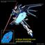 Model figurki GUNDAM HG Cosmic Era 1/144 - Rising Freedom Gundam- Zdjęcie 7