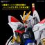 Model figurki GUNDAM HG Cosmic Era 1/144 - Mighty Strike Freedom Gundam- Zdjęcie 10