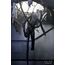 Figurka Obcy: Romulus - Deluxe Suspended Lab Xenomorph XX121- Zdjęcie 18