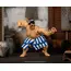 Figurka Ultra Street Fighter II: The Final Challengers 1/12 - E. Honda- Zdjęcie 7
