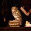 Figurka Harry Potter - Hedwiga 20cm