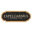 Dekoracja ścienna Harry Potter - Expelliarmus