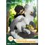 Figurka Harry Potter D-Stage - Harry & Buckbeak- Zdjęcie 5