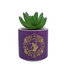 Sztuczny kwiat z doniczką Aladdin (Purple)