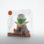 Skarbonka Dragon Ball - Piccolo Chib- Zdjęcie 2