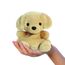 Pluszak Palm Pals - Labrador 13cm- Zdjęcie 5