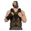 Figurka DC Multiverse (Mroczny Rycerz powstaje) Deluxe Theatrical Edition - Bane- Zdjęcie 5