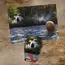Puzzle Piątek 13-ego (500 elementów)- Zdjęcie 2