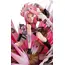 Figurka Naruto Shippuden Gals DX - Sakura Haruno V3- Zdjęcie 5