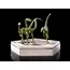 Figurka Jurassic World Icons - Compsognathus- Zdjęcie 2