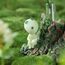 Figurka Princess Mononoke - Kodama- Zdjęcie 4