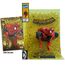 Figurka z komiksem Marvel 1/6 - Spider-Man (Spider-Man # 1 Gold Edition) [Gold Label]- Zdjęcie 7