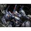 Figurka do złożenia Armored Core V 1/72 - KT-104 Perun Hanged Man (Rematch Ver.)- Zdjęcie 13