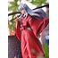 Figurka InuYasha: The Final Act Pop Up Parade - Inuyasha- Zdjęcie 8