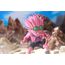 Figurka Sand Land SoftB Half - Beelzebub- Zdjęcie 13