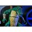 Figurka Teenage Mutant Ninja Turtles (Mirage Comics) - Leatherhead- Zdjęcie 5