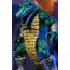 Figurka Teenage Mutant Ninja Turtles (Mirage Comics) - Leatherhead- Zdjęcie 6