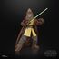 Figurka Star Wars: Akolita Black Series - Jedi Master Kelnacca- Zdjęcie 10
