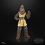 Figurka Star Wars: Akolita Black Series - Jedi Master Kelnacca- Zdjęcie 13