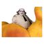 Figurka z pojazdem DC Multiverse (Batman Returns) - The Duck with The Penguin- Zdjęcie 3