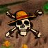 Medalion One Piece Netflix - Jolly Roger (Limited Edition Medallion)