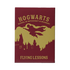 Magnes Harry Potter - Flying Lessons