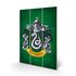 Nadruk na drewnie Harry Potter - Herb Slytherin Wood Print 20x29.5cm
