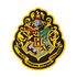 Magnes Harry Potter - Hogwarts