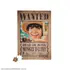 Puzzle magnetyczne One Piece (Netflix) - Wanted Luffy (96 elementów)