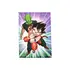 Magnes Dragon Ball - King Piccolo