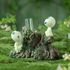 Figurka Princess Mononoke - Kodama