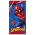 Ręcznik plażowy z mikrofibry Marvel Spider-Man (70x140cm)