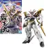 Model figurki GUNDAM HG Amplified IMGN - Ryuoumaru